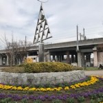 IMG_1331